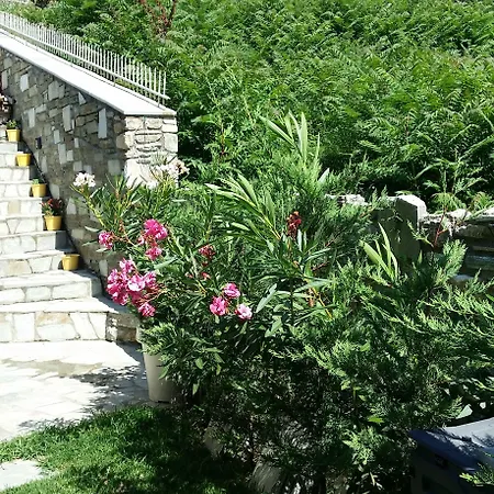 Pacithea Μηλιές